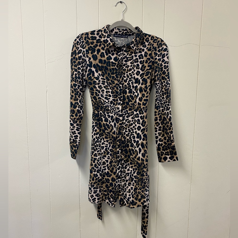 Leopard Print Abercrombie & Fitch Mini Dress
